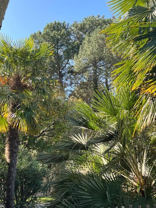 לה-טסט-דה-בוש Villa Proche Arcachon, Dune, Plages מראה חיצוני תמונה