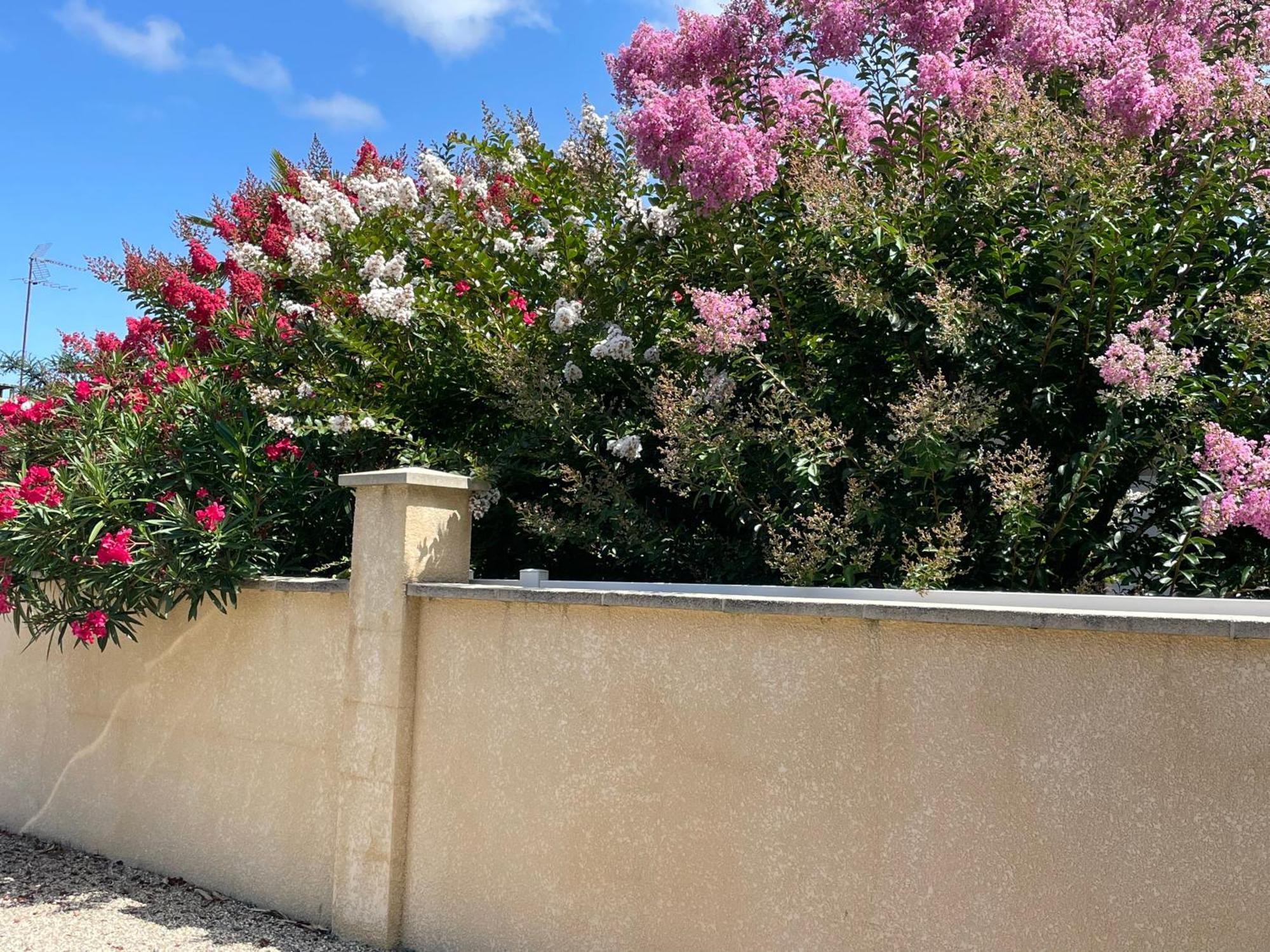 לה-טסט-דה-בוש Villa Proche Arcachon, Dune, Plages מראה חיצוני תמונה